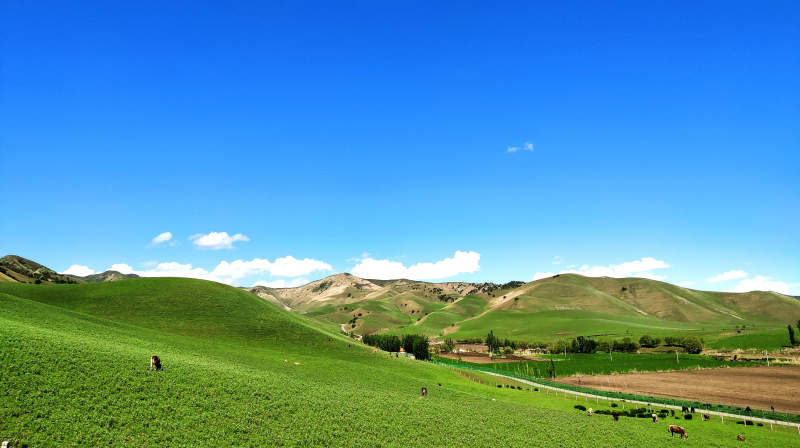 青山绿水 自然风光图片