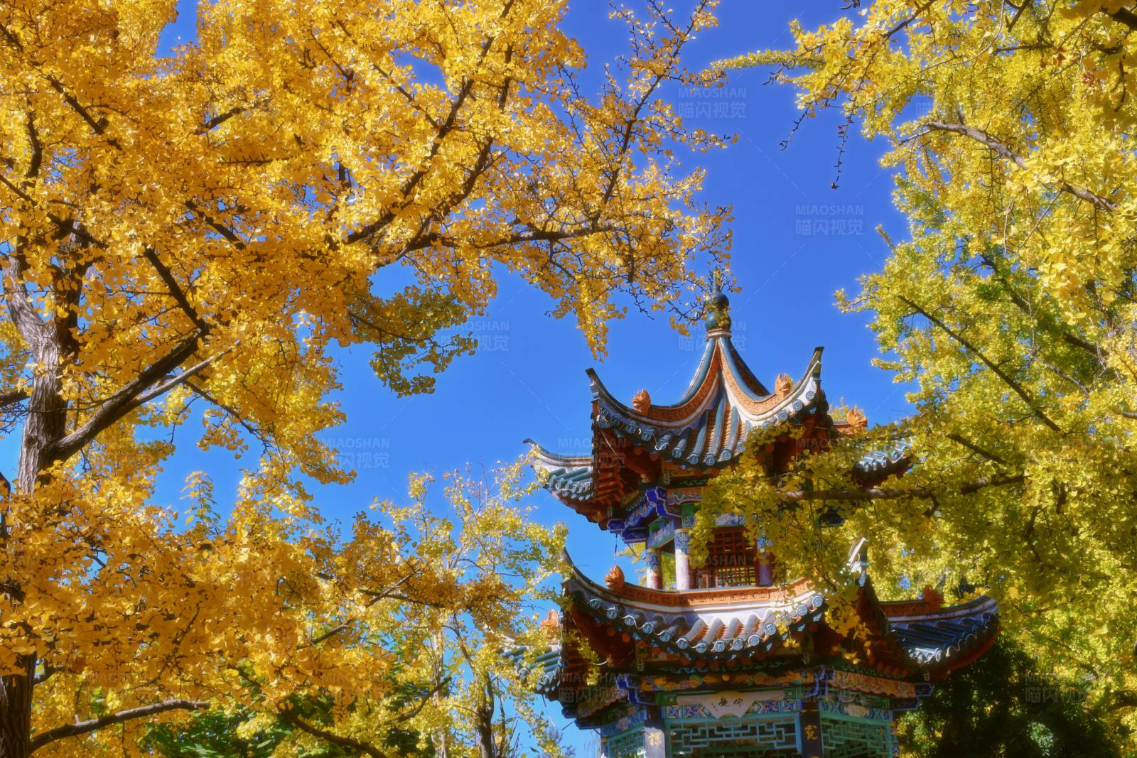 昆明翠湖公园图片