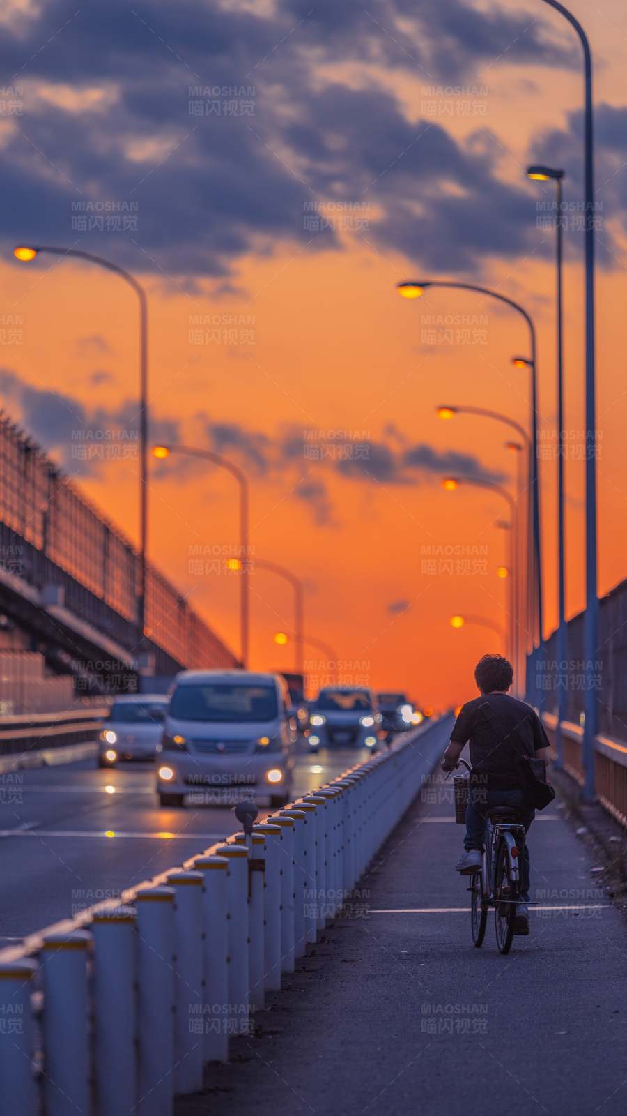 夕阳下的骑行图片