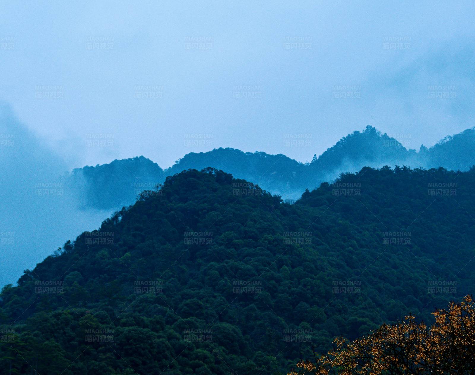 雾霭笼罩的山林图片