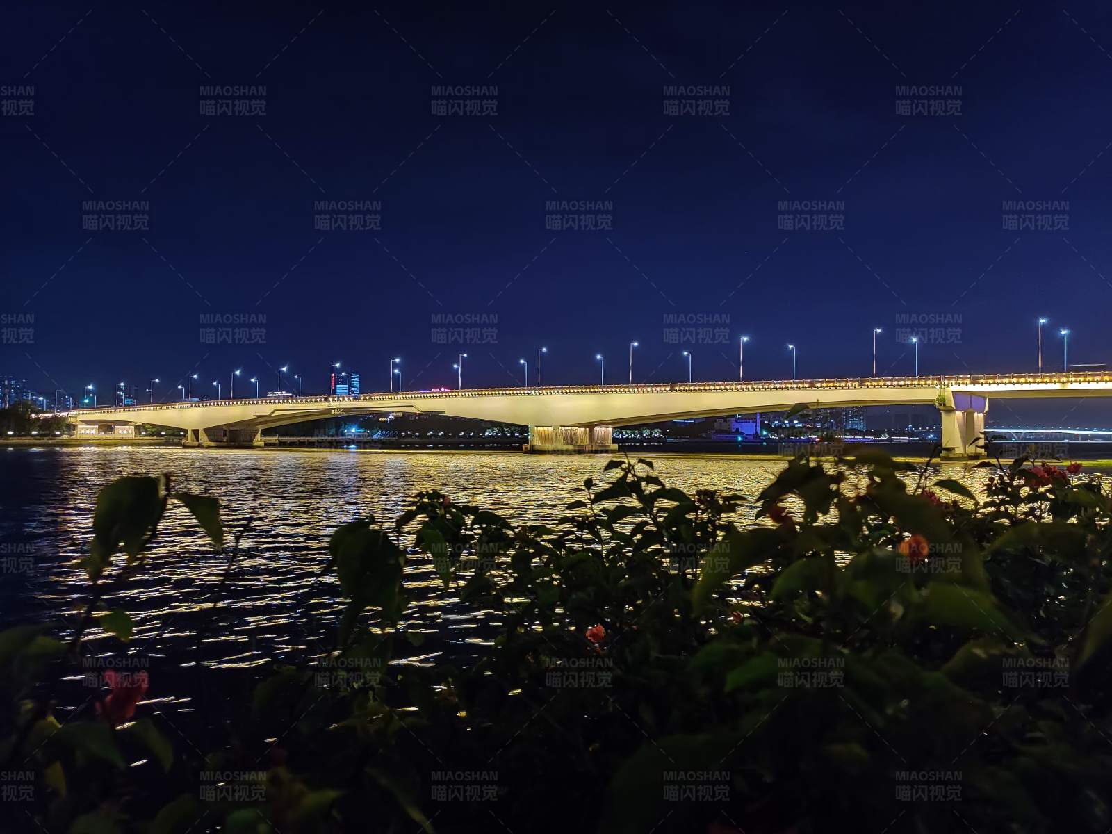 夜色下的琶洲大桥与河岸图片