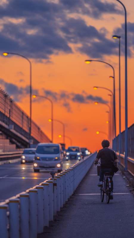 夕阳下的骑行图片