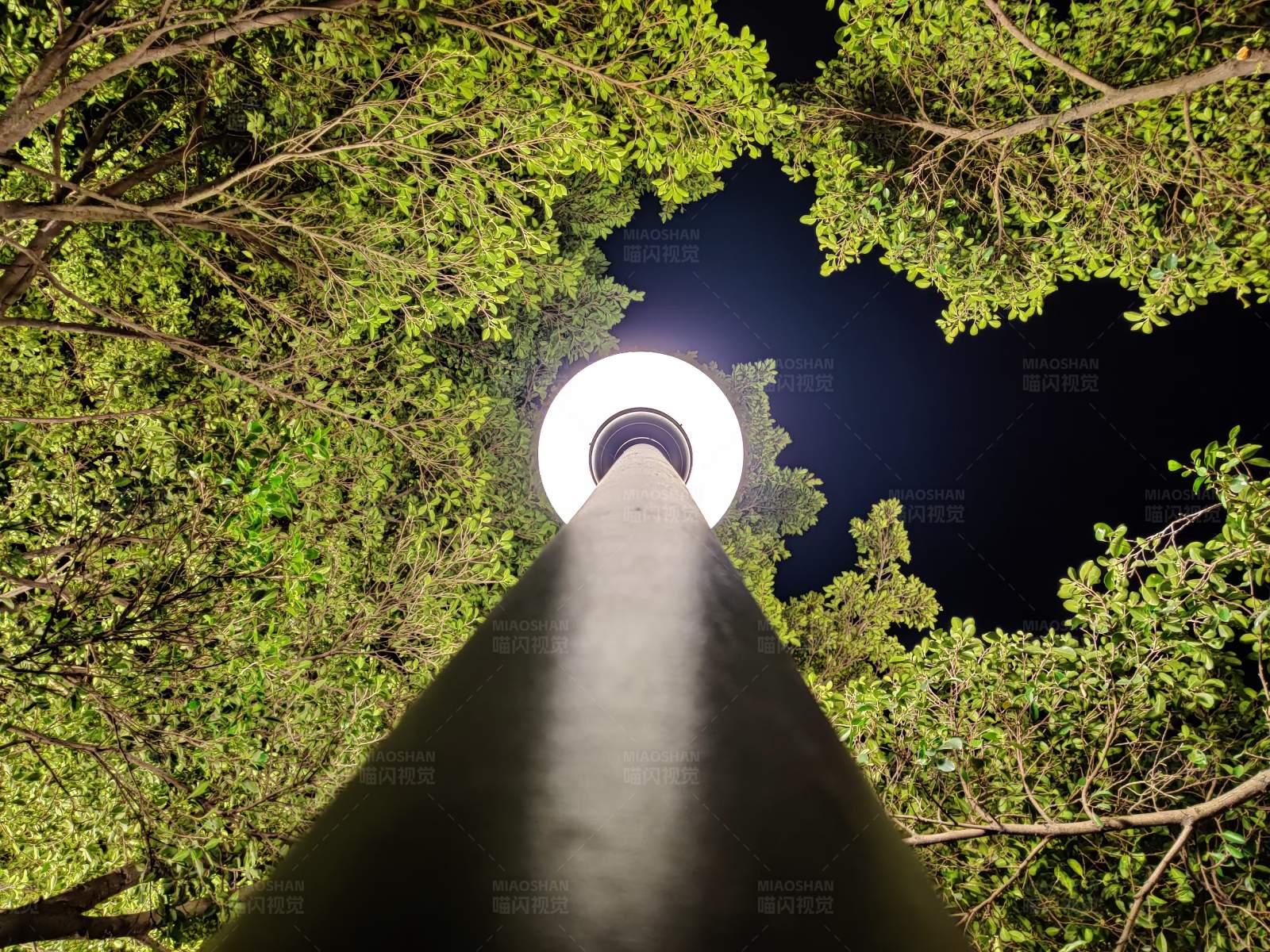 夜空下的灯柱图片