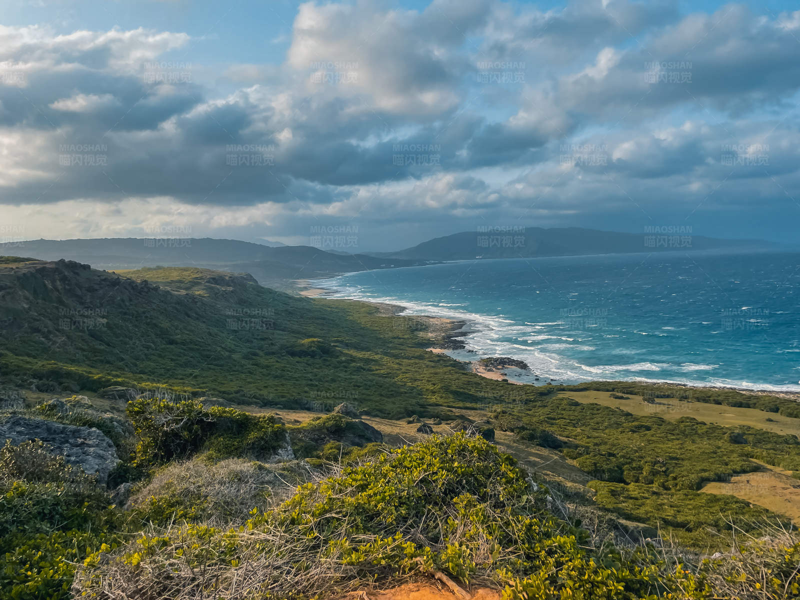 海岸线上的绿色景观图片