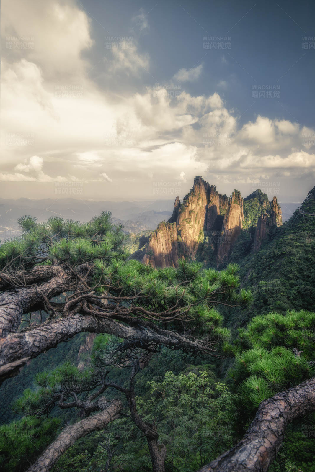 江西三清山松树与奇峰图片