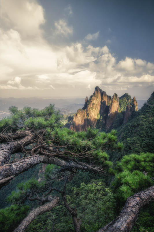 江西三清山松树与奇峰图片