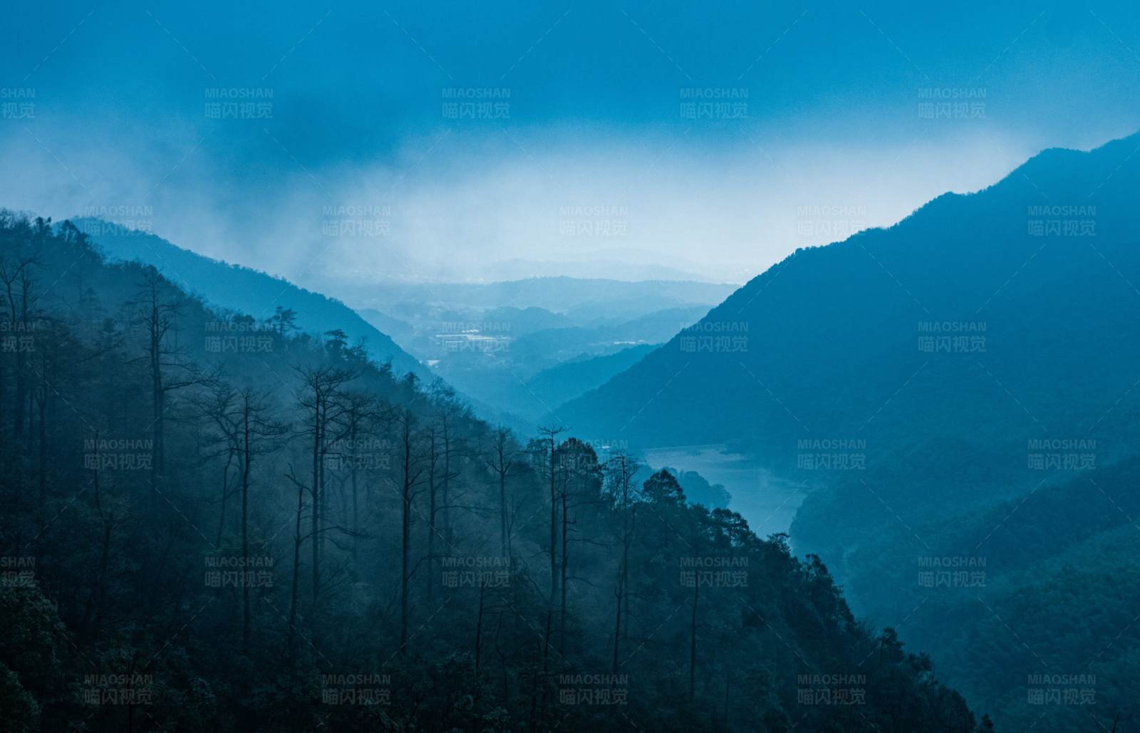 庐山蓝山雾林图片