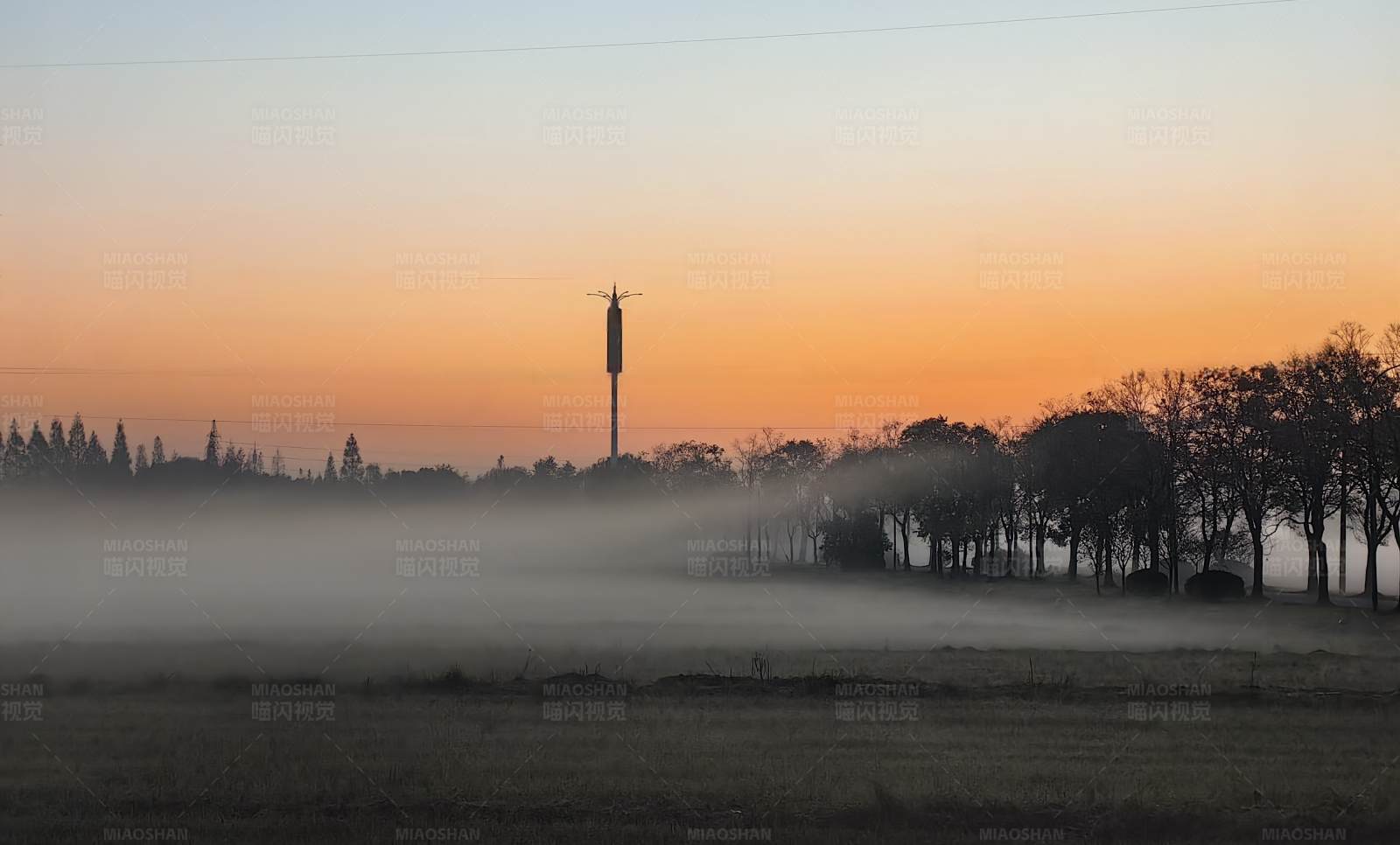 晨雾中的宁静田野图片