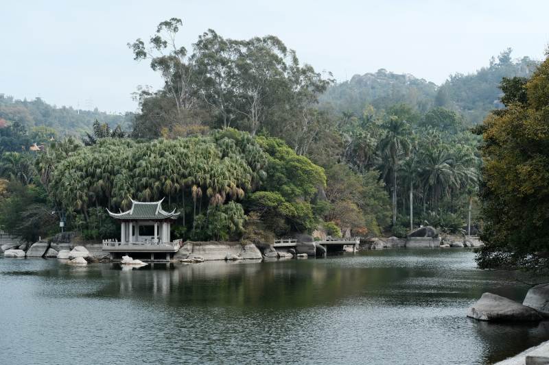 厦门植物园 湖畔凉亭图片