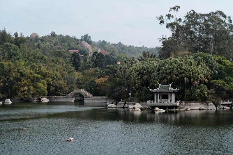 厦门植物园 湖畔凉亭与拱桥图片