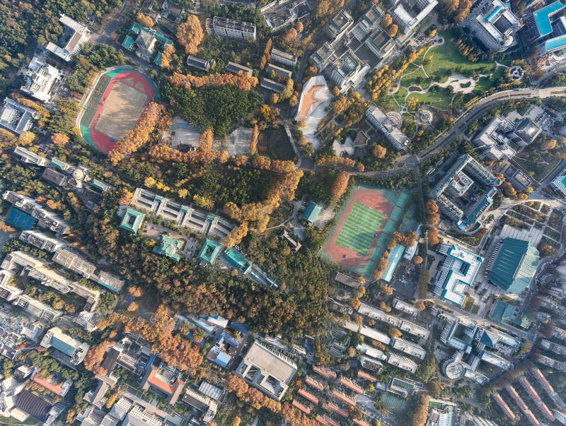 城市绿肺 生态校园图片