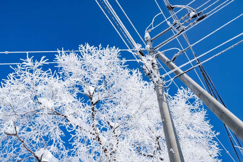 冬日雪景中的电线杆图片