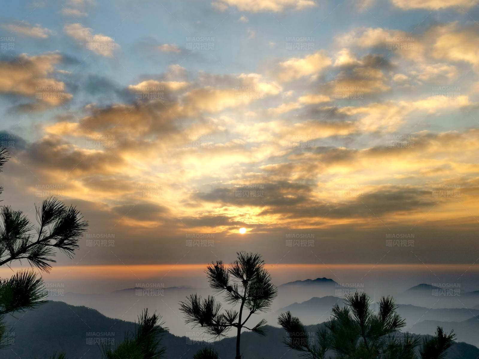 山巅日出云海松图片