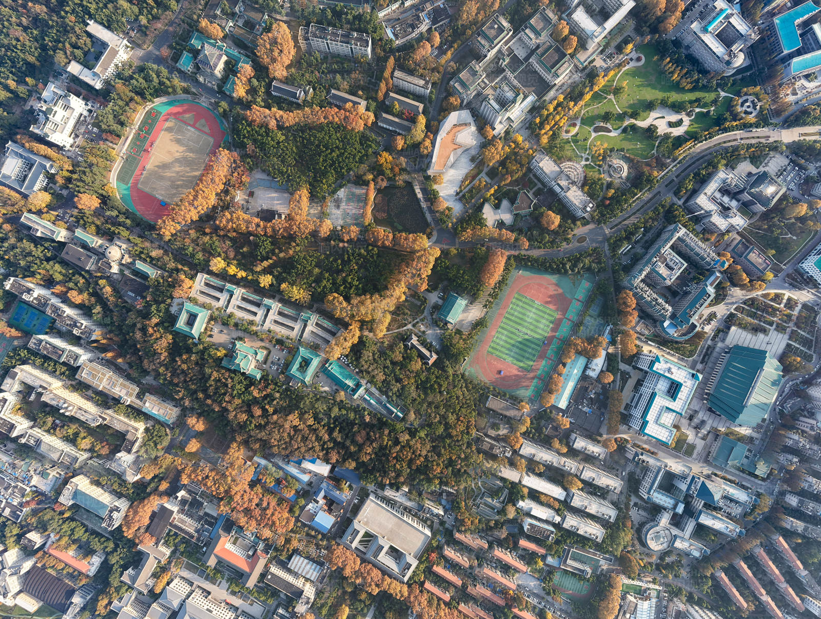 城市绿肺 生态校园图片