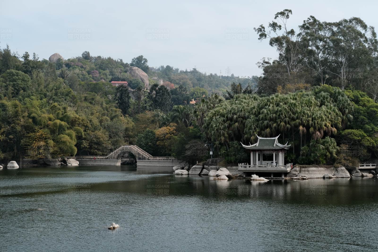 厦门植物园 湖畔凉亭与拱桥图片