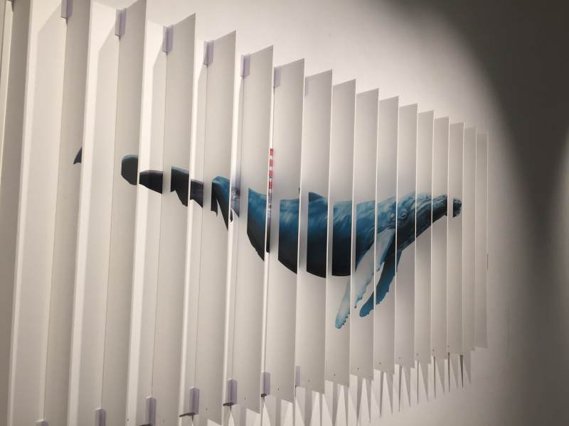 鲸鱼百叶窗艺术图片