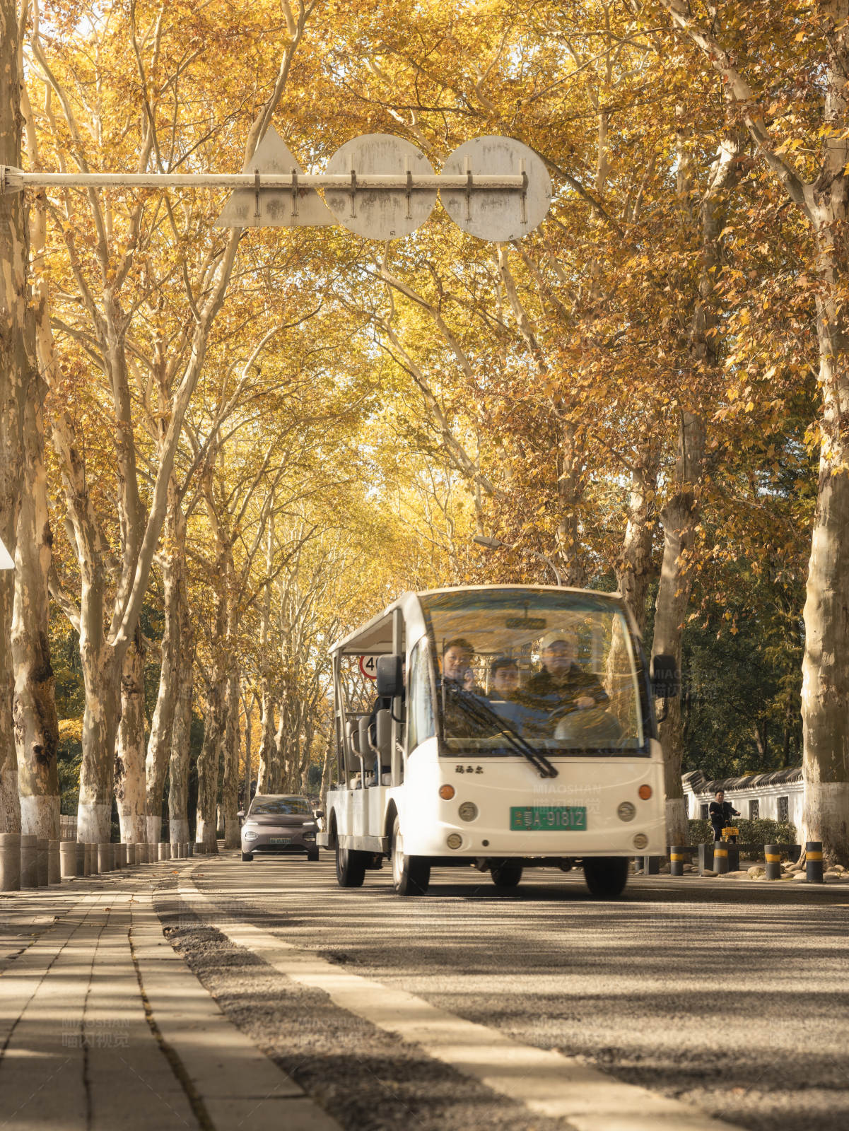 秋日林荫道上的公交车图片