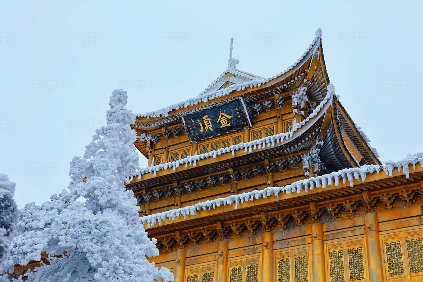 雪中的金色寺庙金顶图片