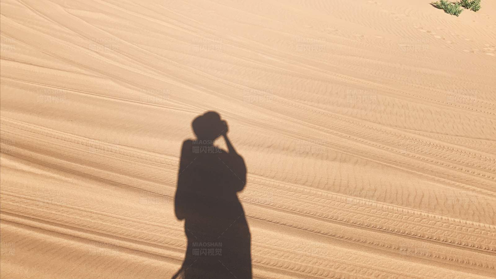 沙漠中的摄影剪影图片