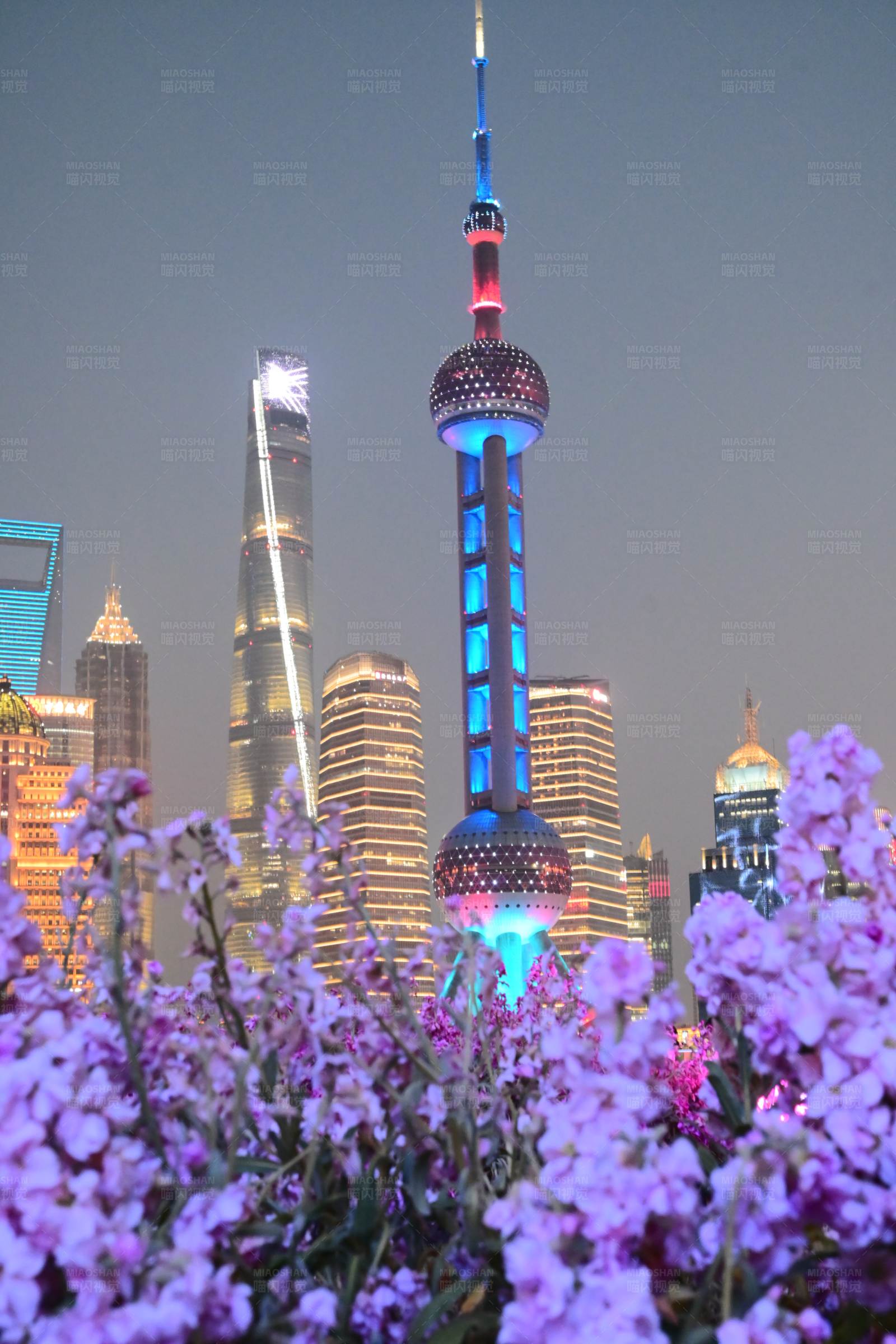上海夜景与紫色花海图片