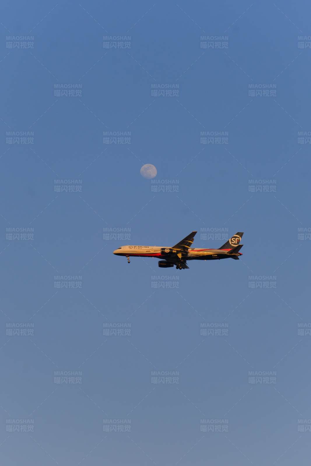 月光下的飞行图片