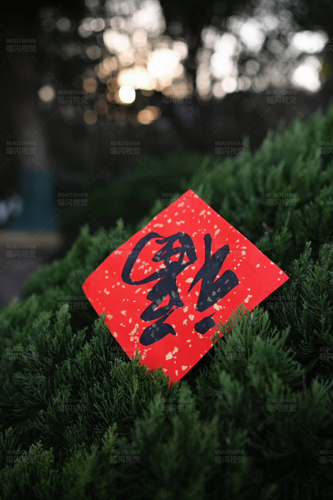 红纸黑字绿植间图片