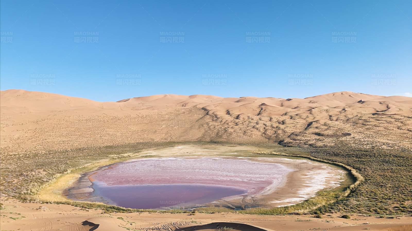 沙漠中的粉色盐湖图片