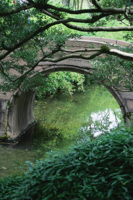 古桥绿荫倒影图图片