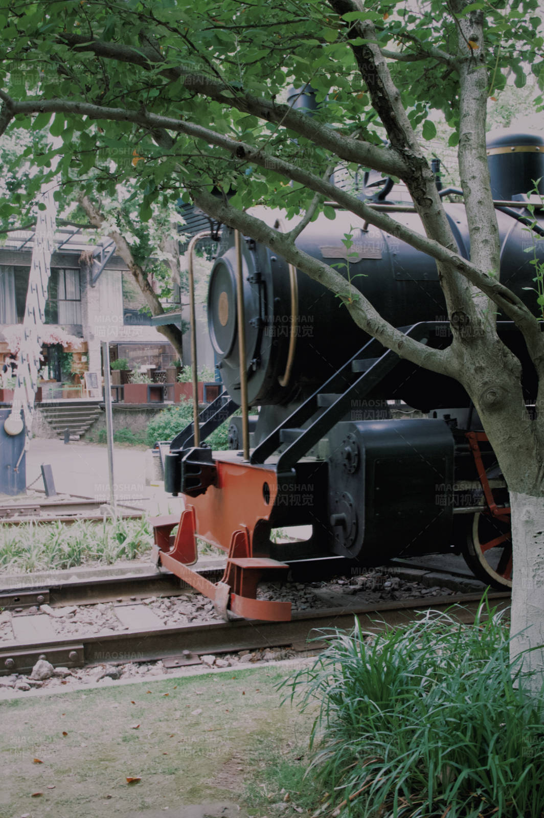 树下停驻的老式火车图片