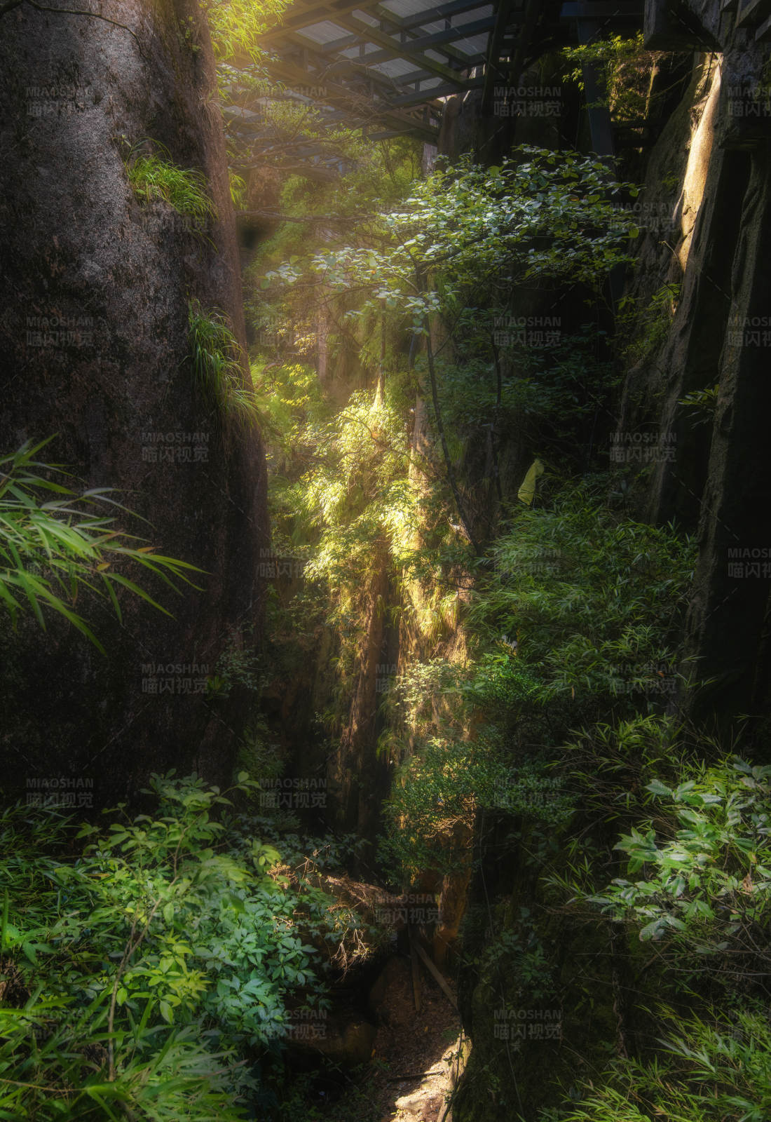 峡谷中的阳光图片