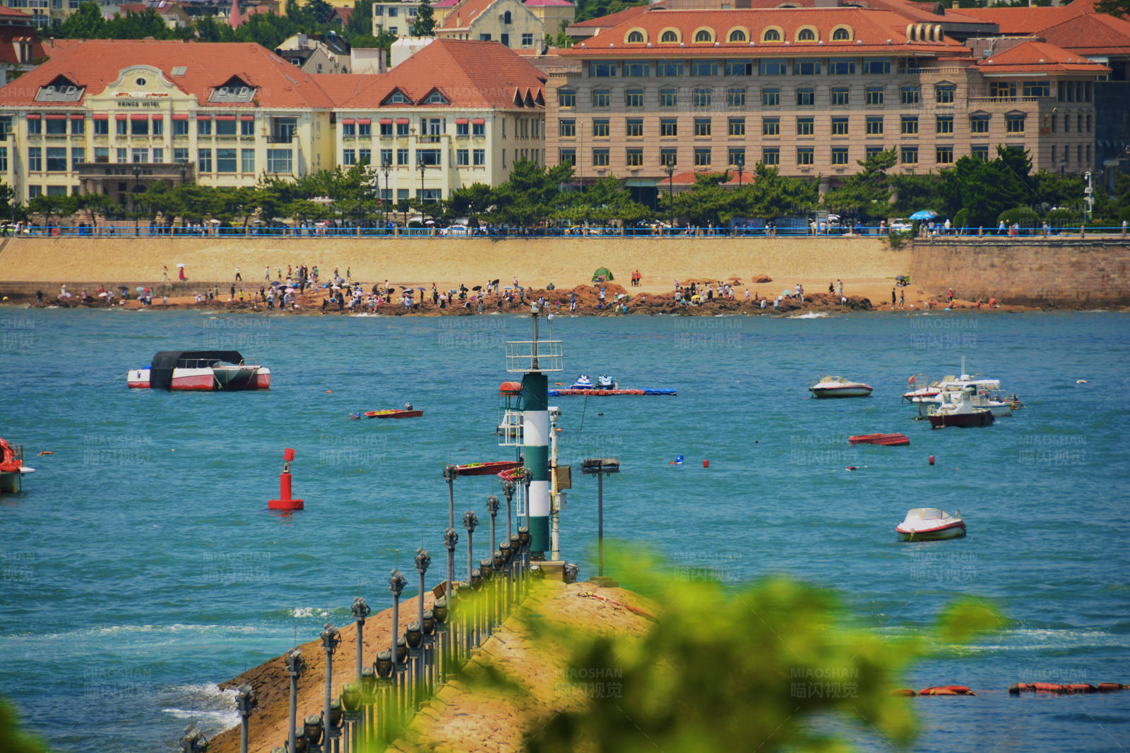 青岛海滨城市夏日景图片