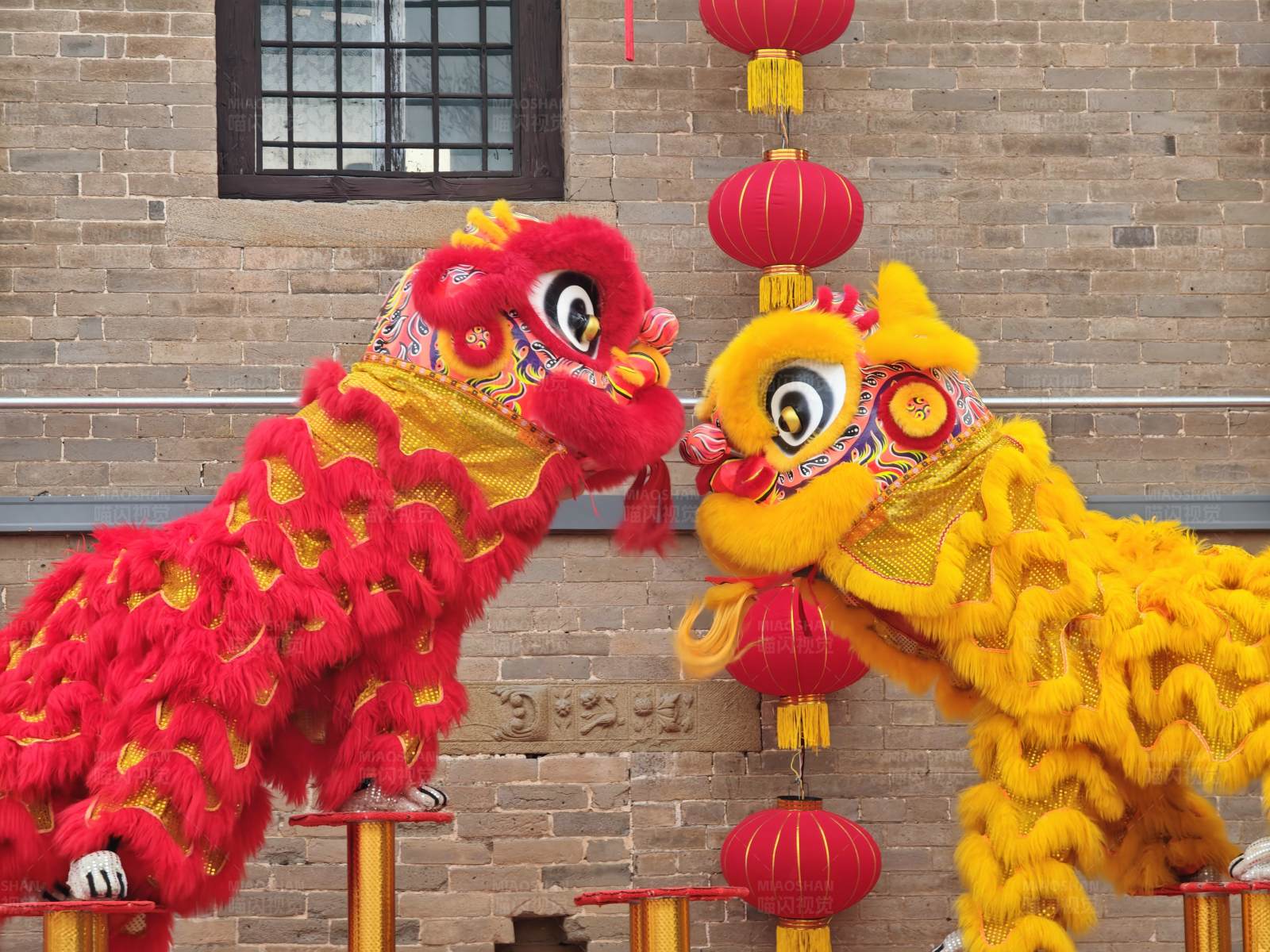 舞狮表演庆新春图片