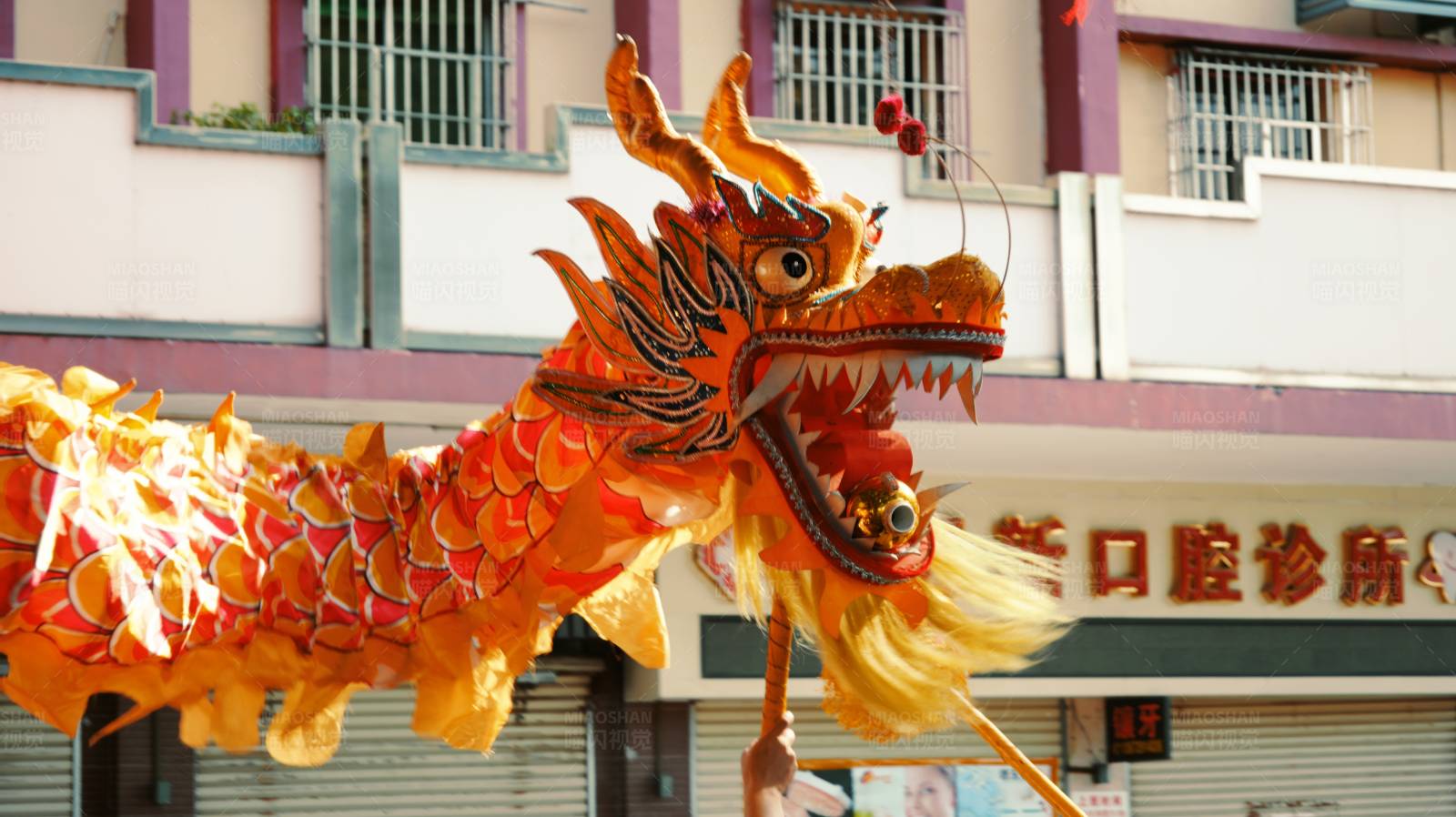 舞龙表演庆祝节日图片