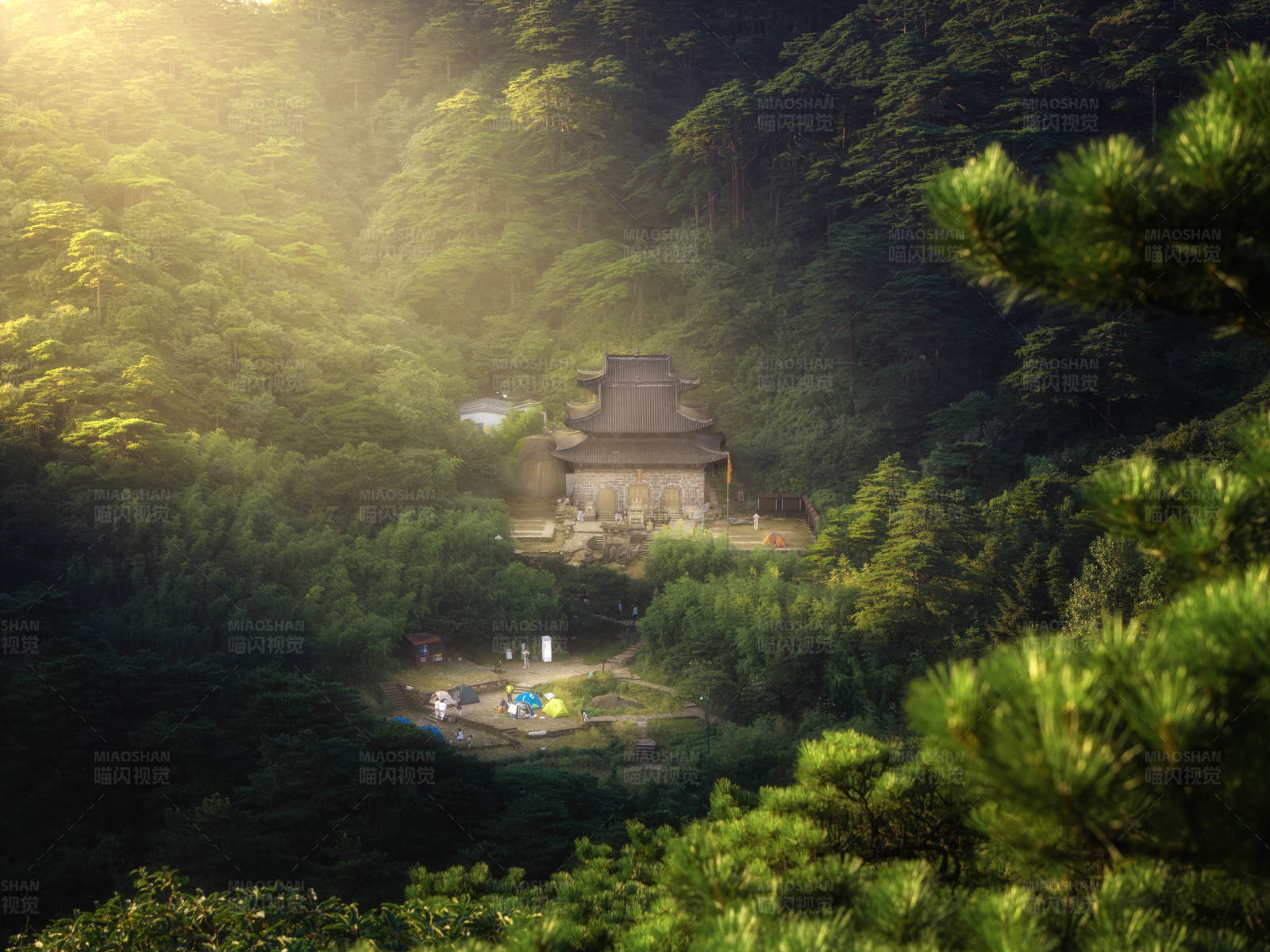 山中古寺隐松林图片