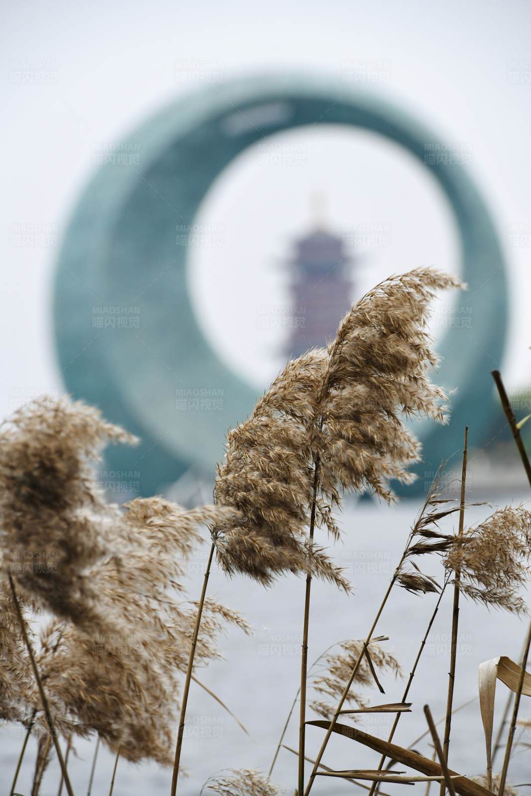 厦门园博苑月光环图片