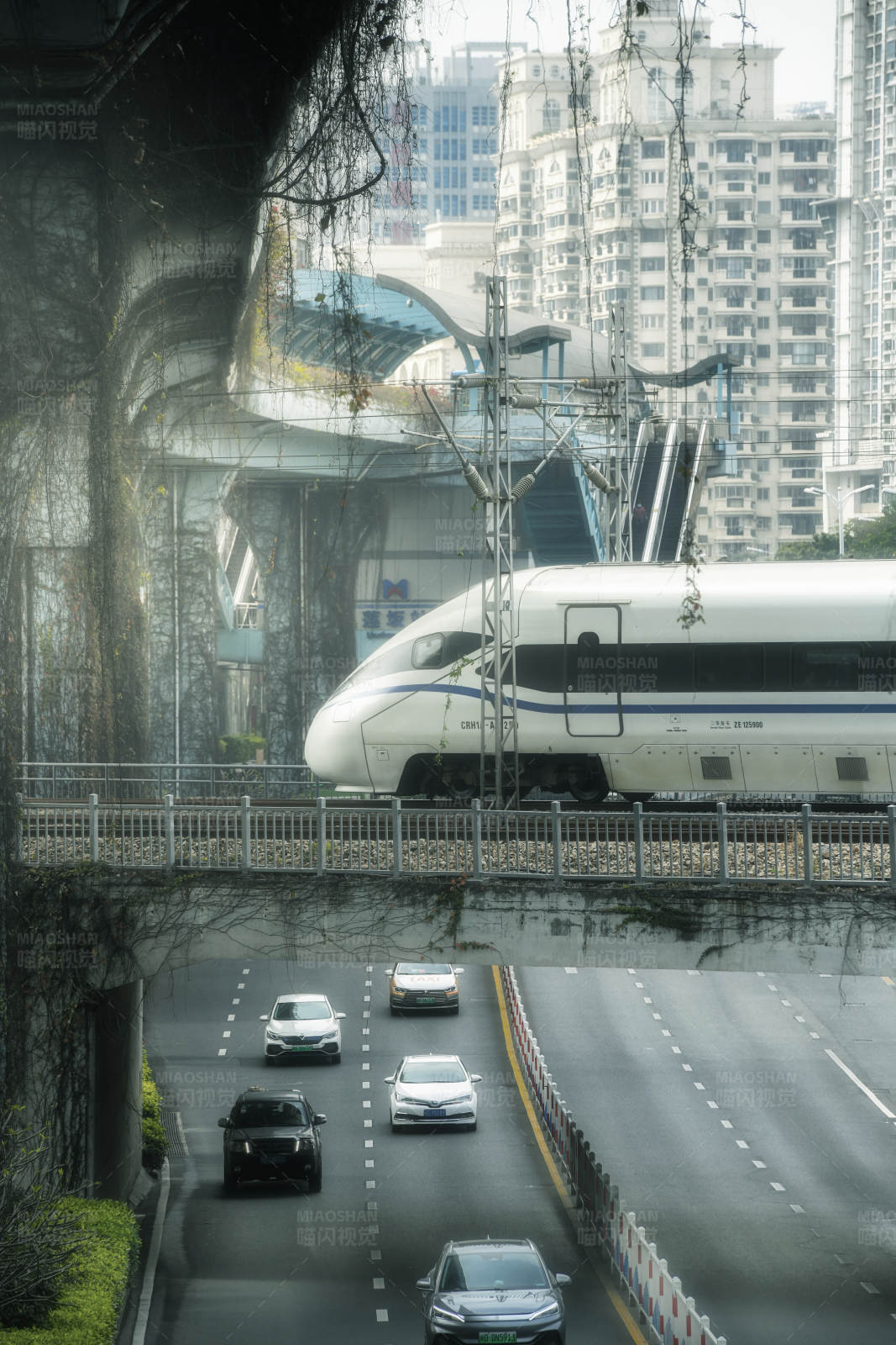 城市高架上的高速列车图片