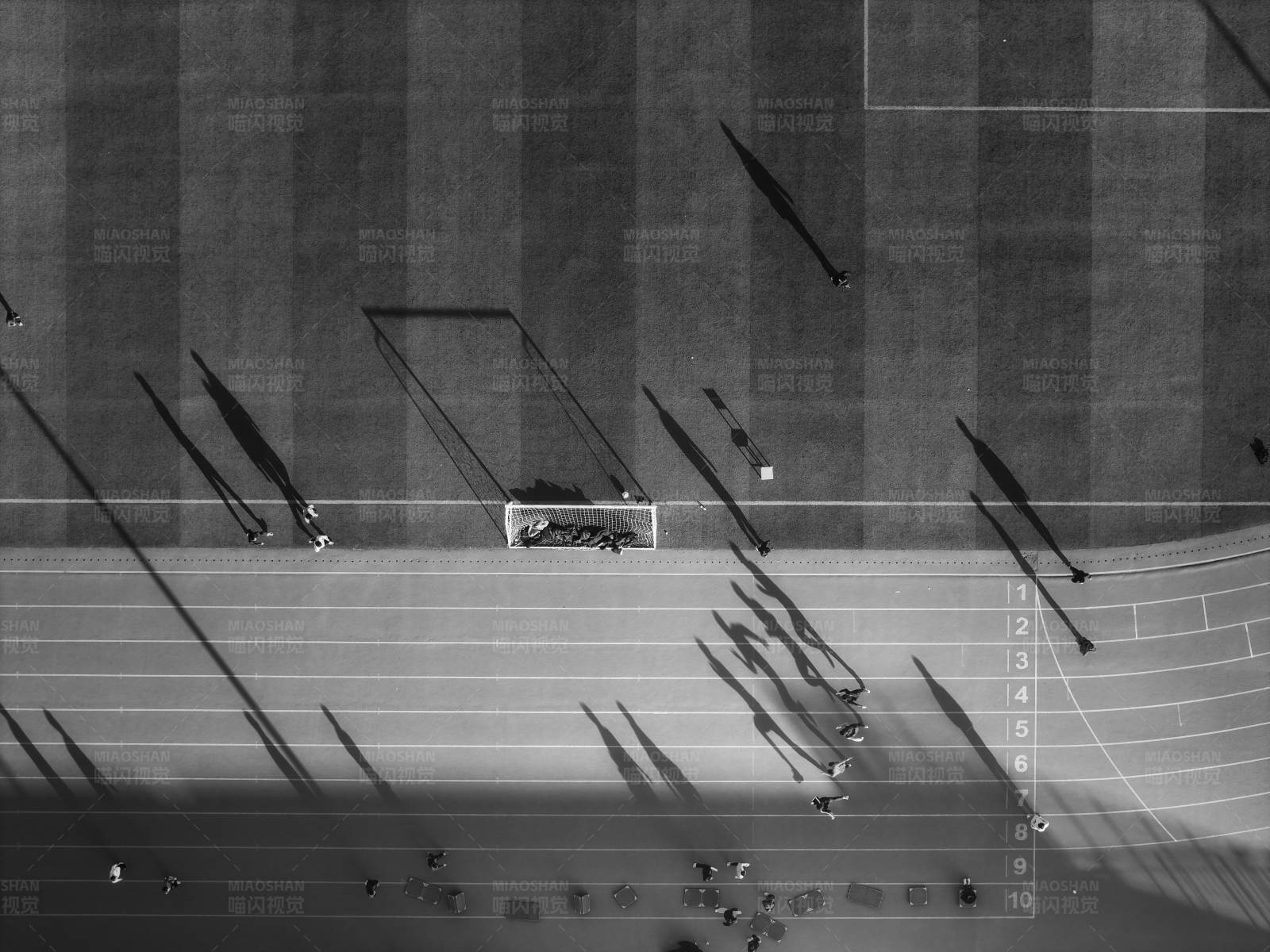 足球场上的光影图片