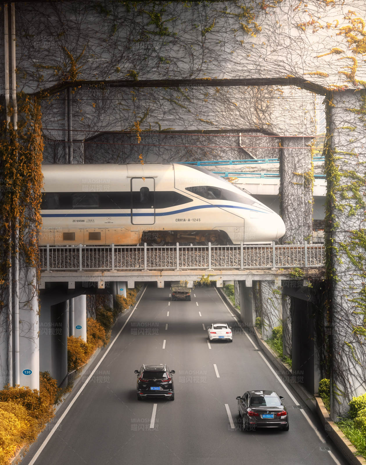 高铁与汽车共行图片