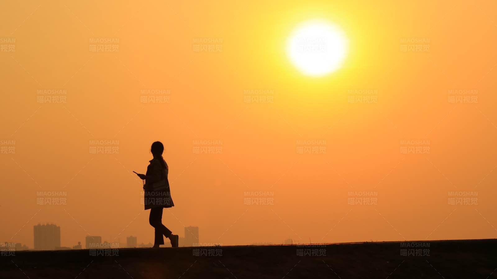 夕阳下的独行者图片