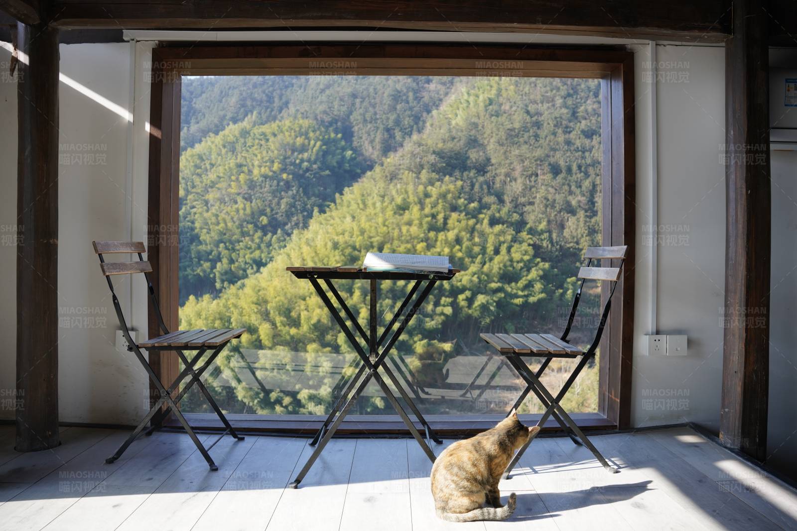 猫与山景的宁静角落图片