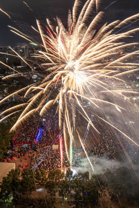 城市夜空烟花绽放图片