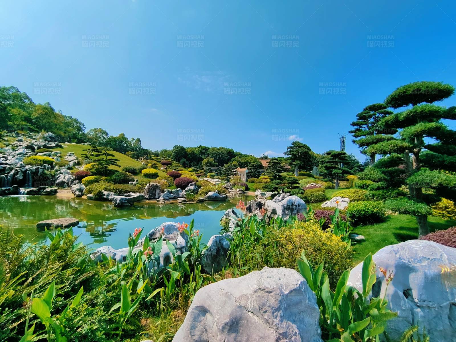 日本庭园的宁静之美图片