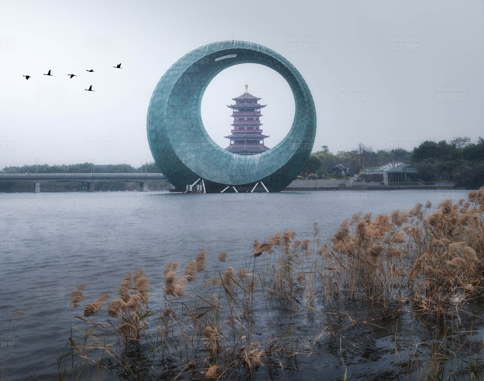 厦门园博苑图片