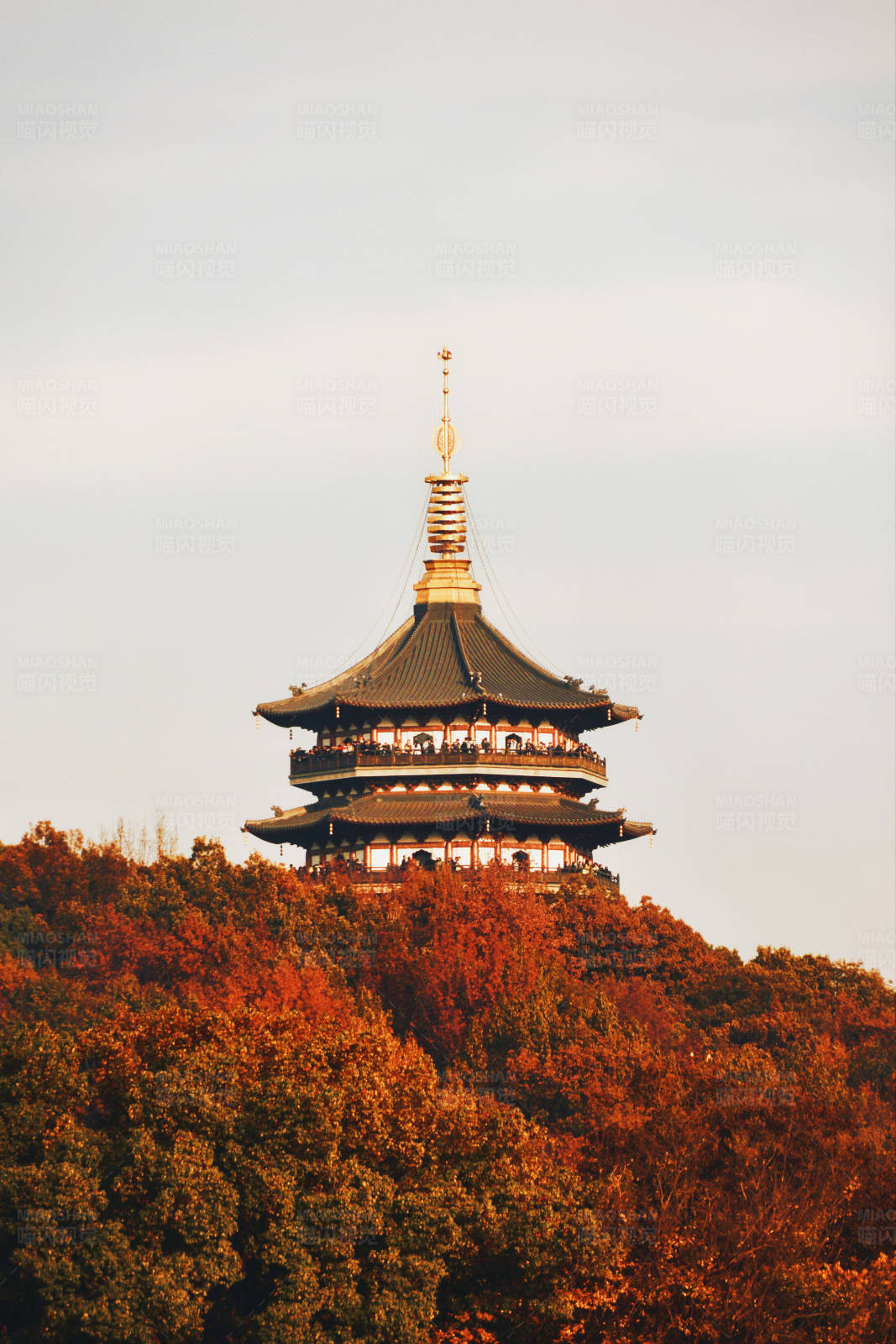 西湖秋日雷峰塔图片