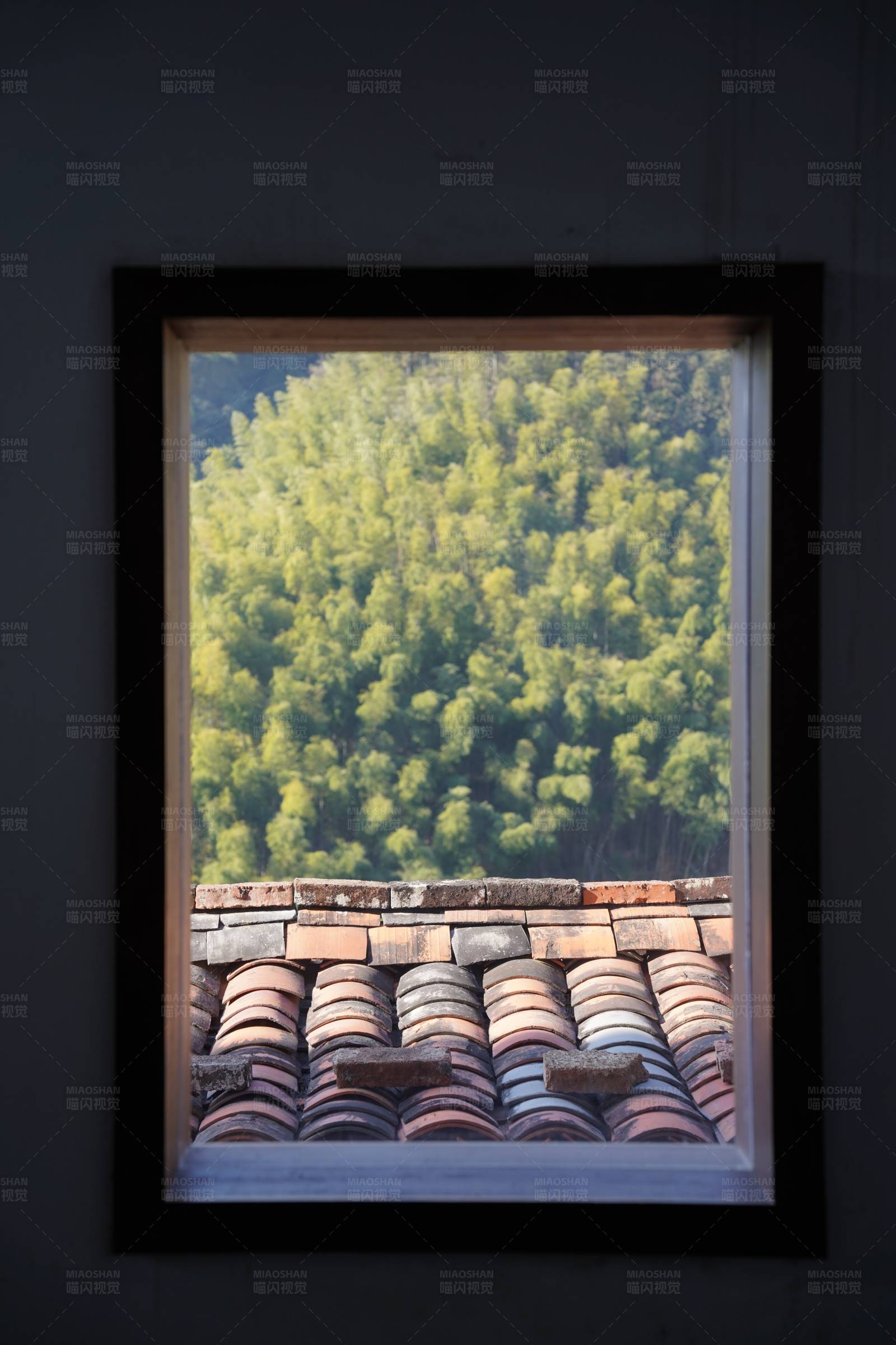 窗外竹林与瓦屋顶图片