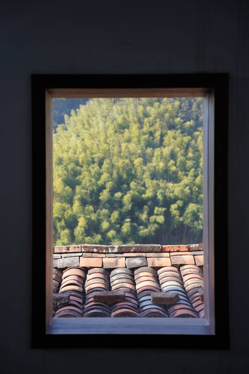 窗外竹林与瓦屋顶图片