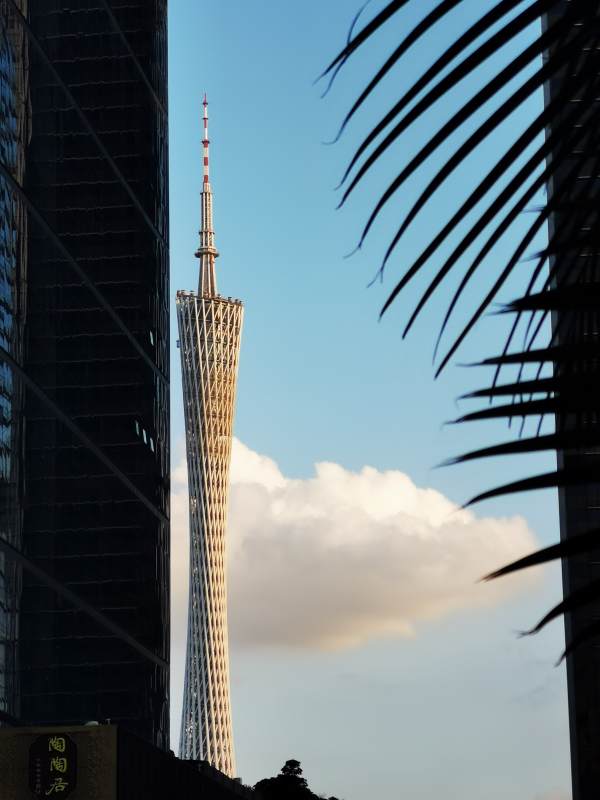 广州塔的美丽视角图片