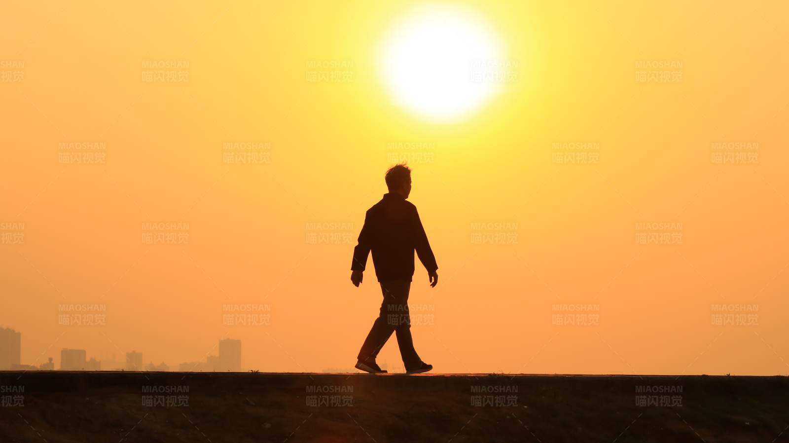 夕阳下的独行者图片