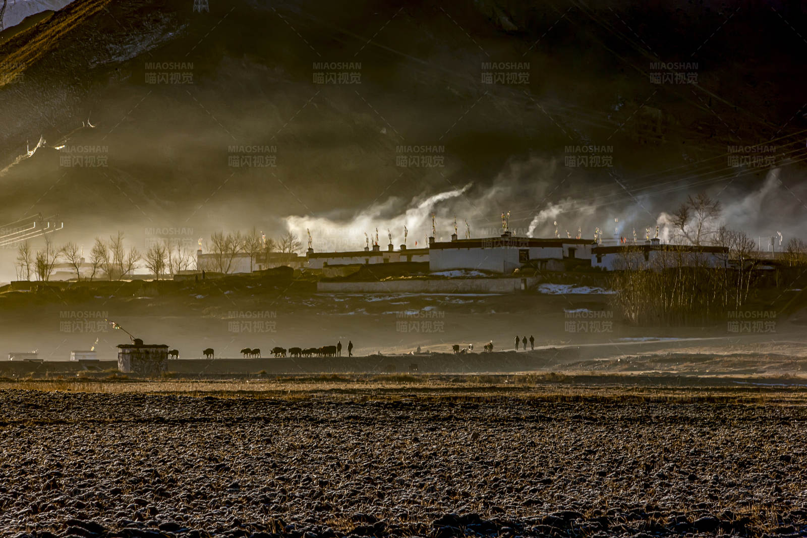 西藏高原小村庄的晨炊图片