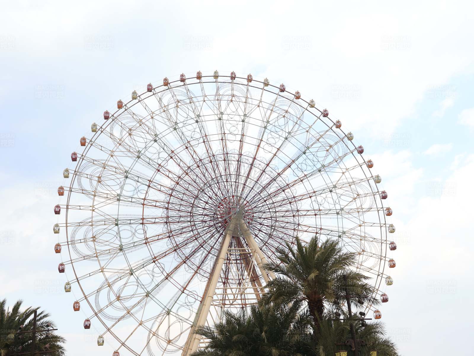 摩天轮与棕榈树图片